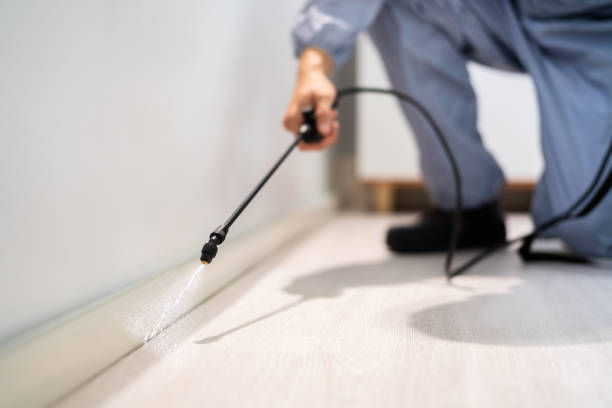 Licensed Termite Control service in Aleutians East Borough County, AK - Nex Pest Control