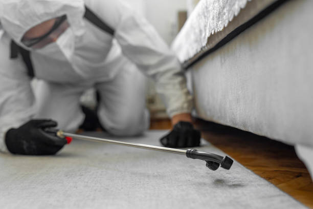 Professional Termite Control technician working in Aleutians East Borough County, AK